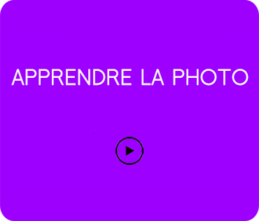 bienvenue.